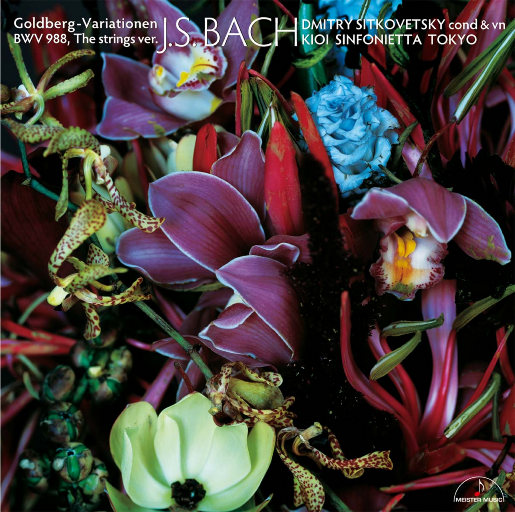 在线看免费毛片
