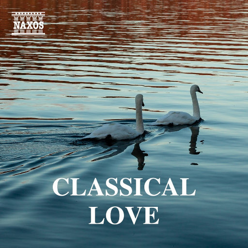 在线看免费毛片
